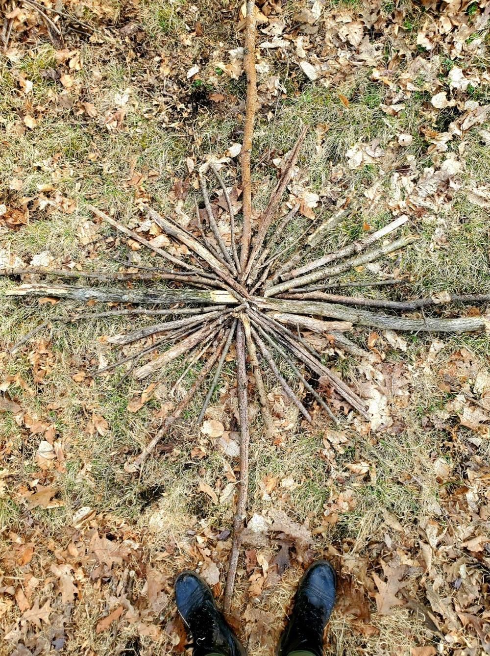 Nature Art 